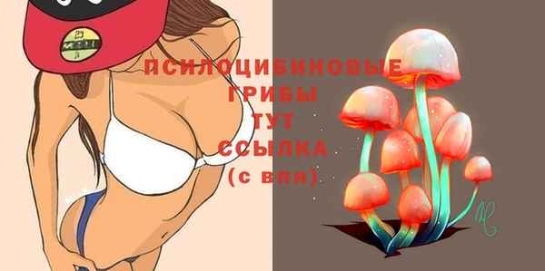 гидра Алзамай
