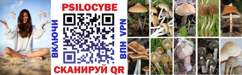 Псилоцибиновые грибы MAGIC MUSHROOMS  даркнет сайт  KRAKEN как зайти  Ахтырский 